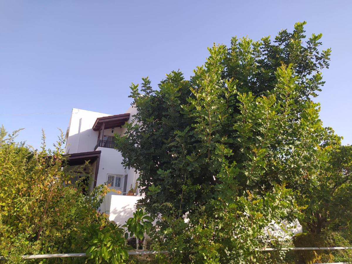 Mear Holiday Homes - Cretan Summer Getaways Kountoura Selino Esterno foto